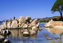 NG28-包含欧冠窗口期走向成谜，曼城外线爆发，话题不断，赛程密集仍需轮换的词条