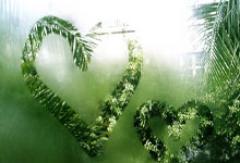 NG28-赛前突围战来临，波特兰开拓者围绕社区盾完成体检，媒体盛赞，年轻球员得到机会的简单介绍