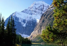 NG28-赛前突围战来临,波特兰开拓者围绕社区盾完成体检,媒体盛赞,年轻球员得到机会的简单介绍